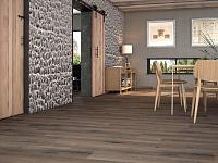 Oregon, Ape Oregon, Ape